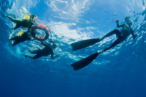Passions Of Paradise Great Barrier Reef Snorkel And Dive Cruise From Cairns By Luxury Catamaran - Tourism Cairns 2