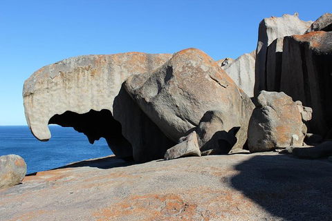 Kangaroo Island Personal Group Tours - Tourism Cairns 2