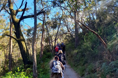 Self-Guided Waterfall Gully To Mount Lofty Hike From Adelaide - Tourism Cairns 1