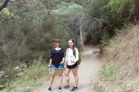 Self-Guided Waterfall Gully To Mount Lofty Hike From Adelaide - Tourism Cairns 4