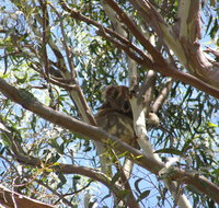 Stradbroke Island 4WD Day Trip from Brisbane - Tourism Cairns