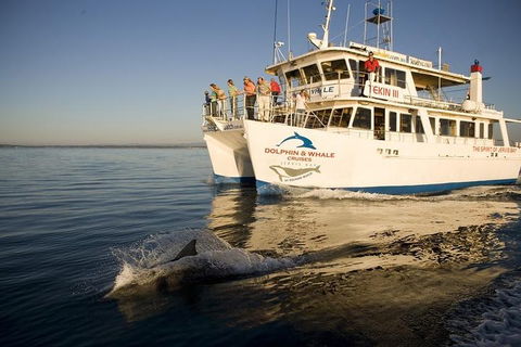 Jervis Bay Dolphin Watch Cruise - Tourism Cairns 3