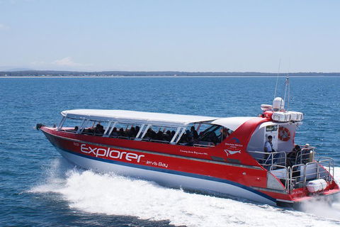 Whale Watching Jervis Bay - Tourism Cairns 1