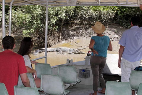 Whitsunday Crocodile Safari Including Lunch - Tourism Cairns 4