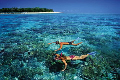 Green Island Day Trip From Cairns - Tourism Cairns 5