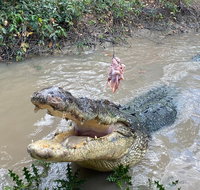 Top End Waterfalls and Wetlands - Tourism Cairns