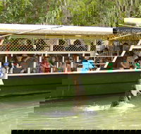 Hartley's Crocodile Adventure Half-Day Tour - Tourism Cairns