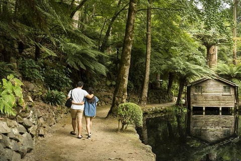 Discover Tour: Dandenong Ranges & William Ricketts Sanctuary - Tourism Cairns 0