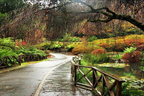 Discover Tour: Dandenong Ranges & William Ricketts Sanctuary - Tourism Cairns 3