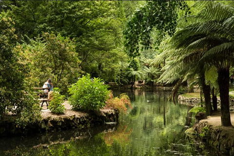 Discover Tour: Dandenong Ranges & William Ricketts Sanctuary - Tourism Cairns 4