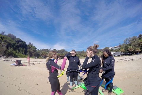 Manly And Shelly Beach Snorkeling Tour - Tourism Cairns 5
