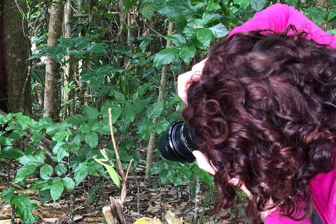 Let's Go Buggin & Let's Go Shroomin - Photography & Nature Walking Tours - Tourism Cairns 1