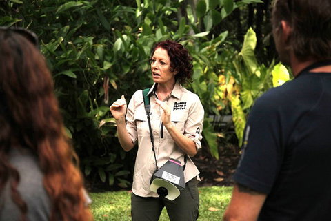 Let's Go Buggin & Let's Go Shroomin - Photography & Nature Walking Tours - Tourism Cairns 5