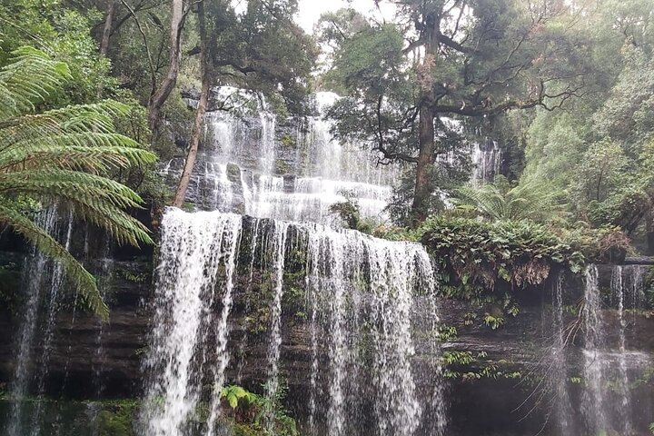  Tourism Cairns