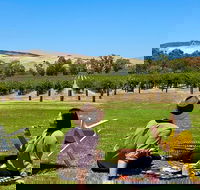 Private Picnic and Wine Tasting Experience in Barossa Valley - Tourism Cairns