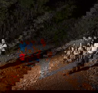 Alice Springs Desert Park Nocturnal Tour - Tourism Cairns