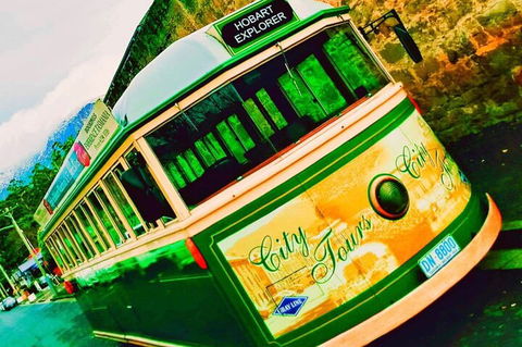Hobart Half-Day Sightseeing Coach Tram Tour - Tourism Cairns 5