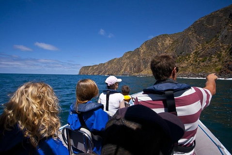 Seal Island Boat Tour From Victor Harbor - Tourism Cairns 0