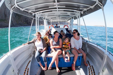 Seal Island Boat Tour From Victor Harbor - Tourism Cairns 1