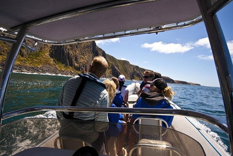 Seal Island Boat Tour From Victor Harbor - Tourism Cairns 2