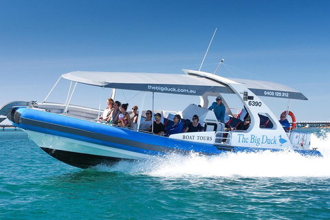 Seal Island Boat Tour From Victor Harbor - Tourism Cairns 3