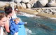 Seal Island Boat Tour From Victor Harbor - thumb 4