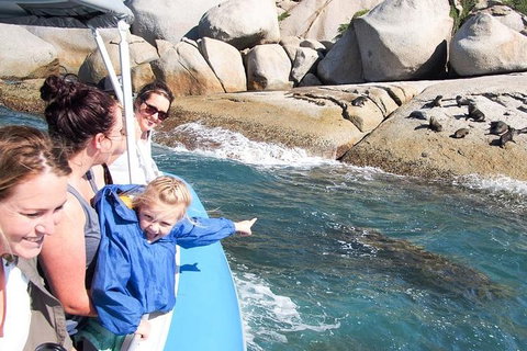 Seal Island Boat Tour From Victor Harbor - Tourism Cairns 4
