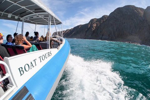 Southern Ocean Adventure From Victor Harbor - Tourism Cairns 0