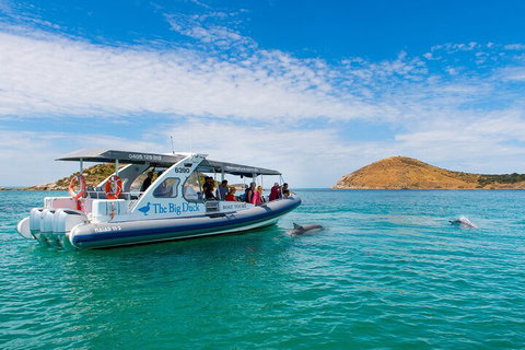 Southern Ocean Adventure From Victor Harbor - Tourism Cairns 1