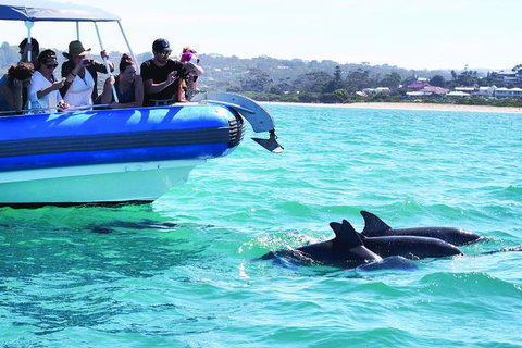 Southern Ocean Adventure From Victor Harbor - Tourism Cairns 2