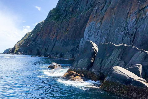 Southern Ocean Adventure From Victor Harbor - Tourism Cairns 3