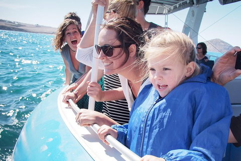 Southern Ocean Adventure From Victor Harbor - Tourism Cairns 4