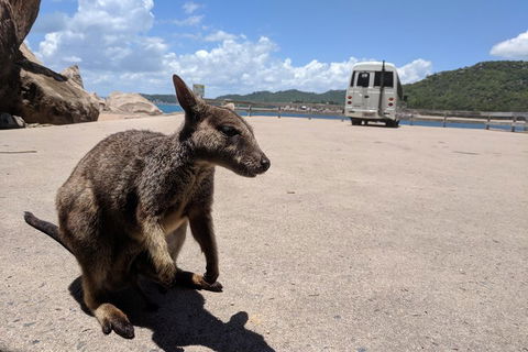 Magnetic Island Tour: Maggie Comprehensive - Tourism Cairns 0