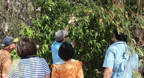 Magnetic Island Tour: Maggie Comprehensive - Tourism Cairns 4