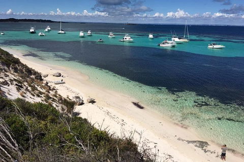 Experience Rottnest With Ferry & Bike Hire From Perth Or Fremantle - Tourism Cairns 0