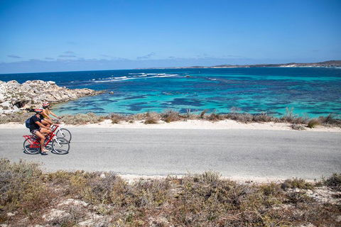 Experience Rottnest With Ferry & Bike Hire From Perth Or Fremantle - Tourism Cairns 2