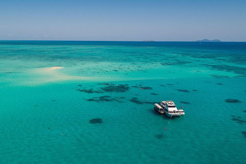 Ocean Freedom Great Barrier Reef Personal Luxury Snorkel & Dive Cruise, Cairns - Tourism Cairns 2