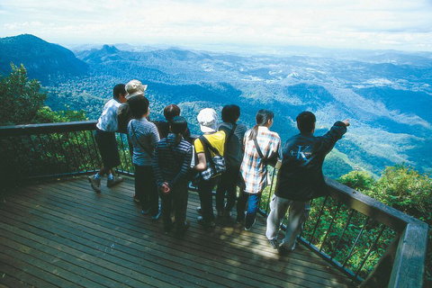 Springbrook National Park & Gold Coast Full Day Luxury Tour From Brisbane - Tourism Cairns 0