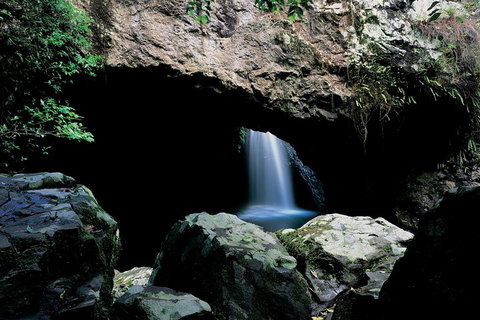 Springbrook National Park & Gold Coast Full Day Luxury Tour From Brisbane - Tourism Cairns 2