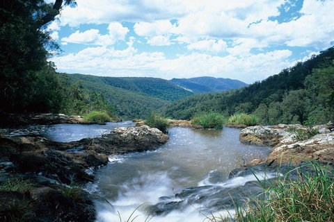 Springbrook National Park & Gold Coast Full Day Luxury Tour From Brisbane - Tourism Cairns 3