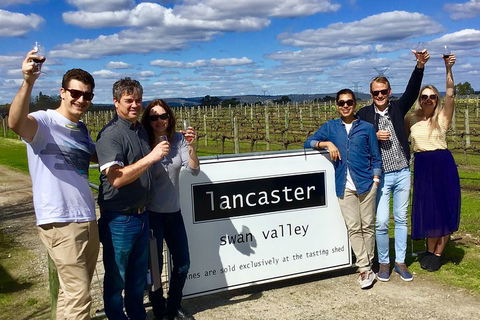Swan Valley Tour From Perth: Wine, Beer And Chocolate Tastings - Tourism Cairns 1