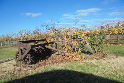Swan Valley Tour From Perth: Wine, Beer And Chocolate Tastings - Tourism Cairns 3