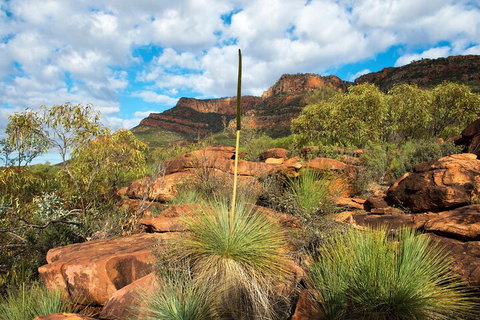 6-Day Eyre Peninsula & Flinders Ranges Adventure Tour - Tourism Cairns 1