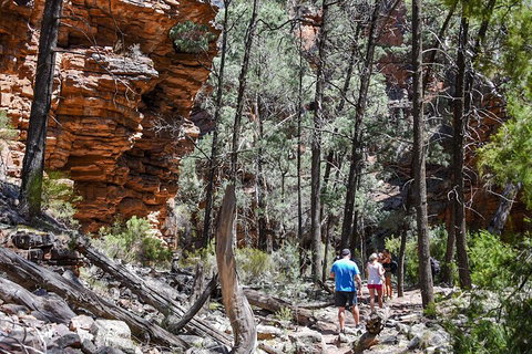 6-Day Eyre Peninsula & Flinders Ranges Adventure Tour - Tourism Cairns 5