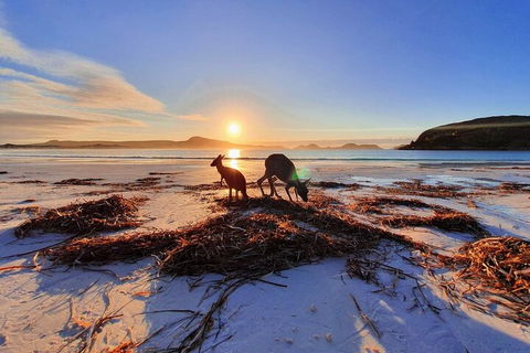 10-Day Perth To Adelaide Adventure Tour - Tourism Cairns 1