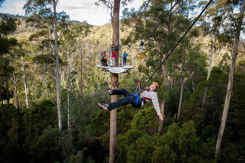 Hollybank Wilderness Adventure - Zipline Tours - Tourism Cairns 0