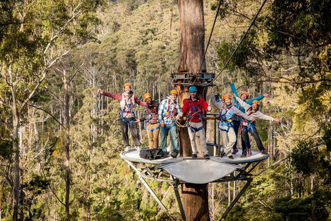 Hollybank Wilderness Adventure - Zipline Tours - Tourism Cairns 1
