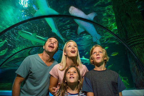 SEA LIFE Sunshine Coast Aquarium Entrance Ticket - Tourism Cairns 3
