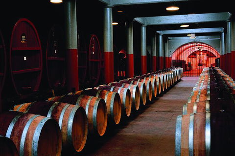 Penfolds Magill Estate Iconic Experience - Tourism Cairns 4