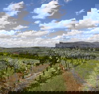 Hunter Valley Wine Tour from Sydney incl Lunch Cheese Chocolate and Distillery - Tourism Cairns